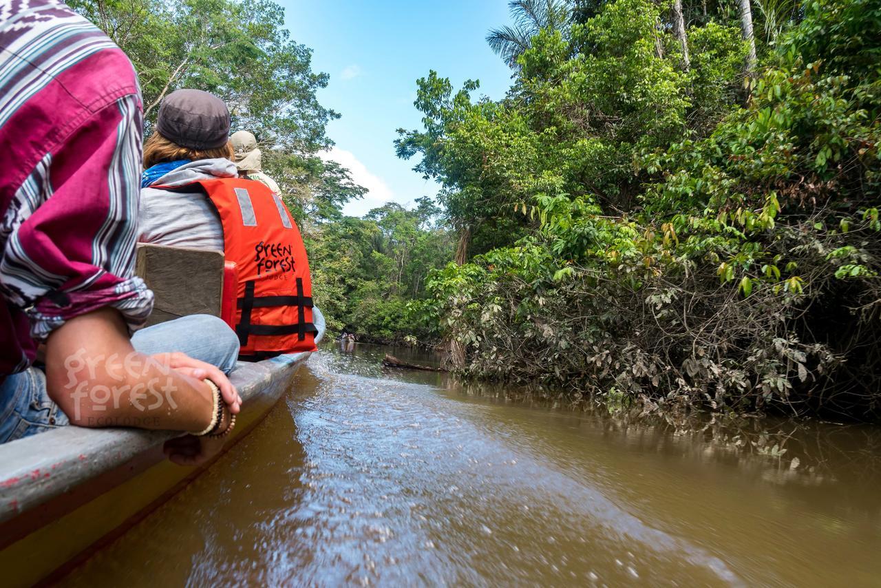 Green Forest Ecolodge Puerto Montufar 외부 사진
