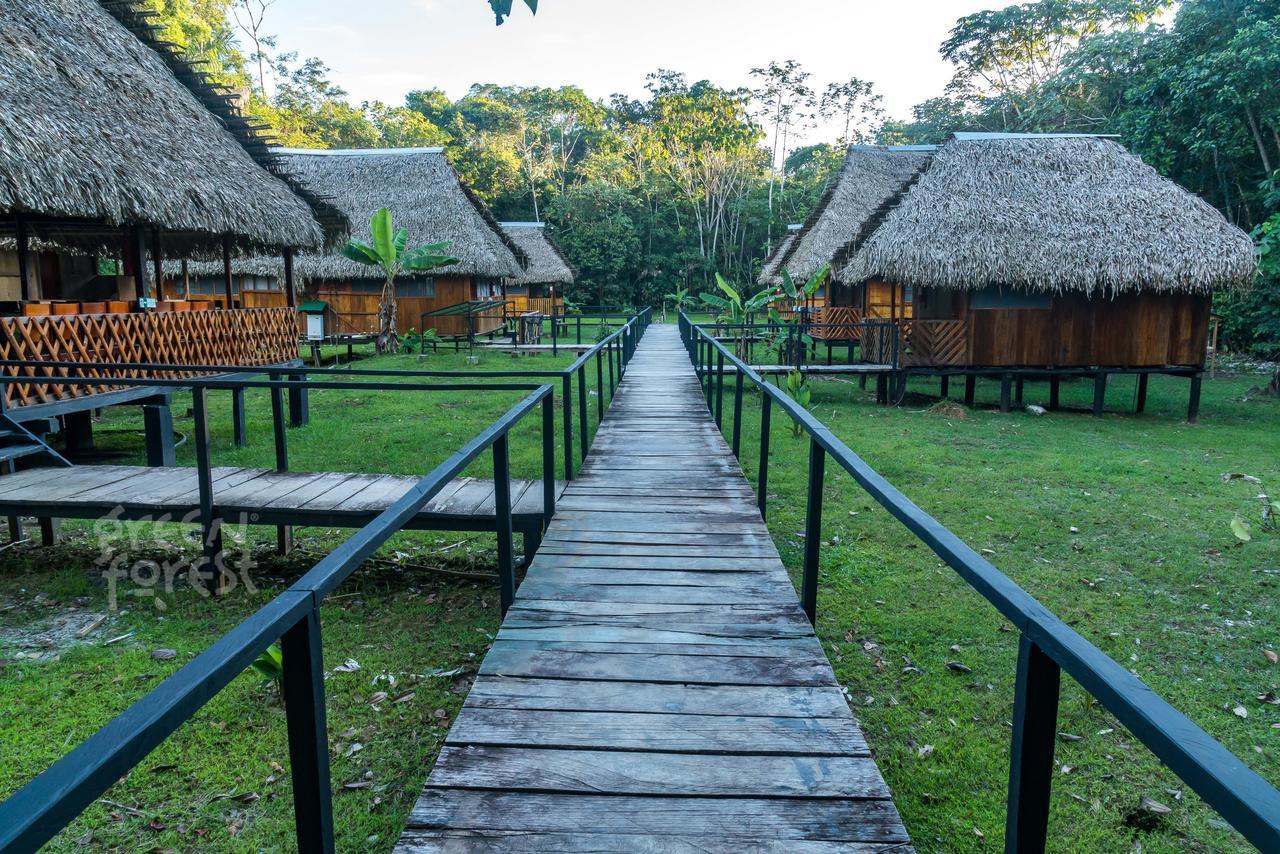 Green Forest Ecolodge Puerto Montufar 외부 사진