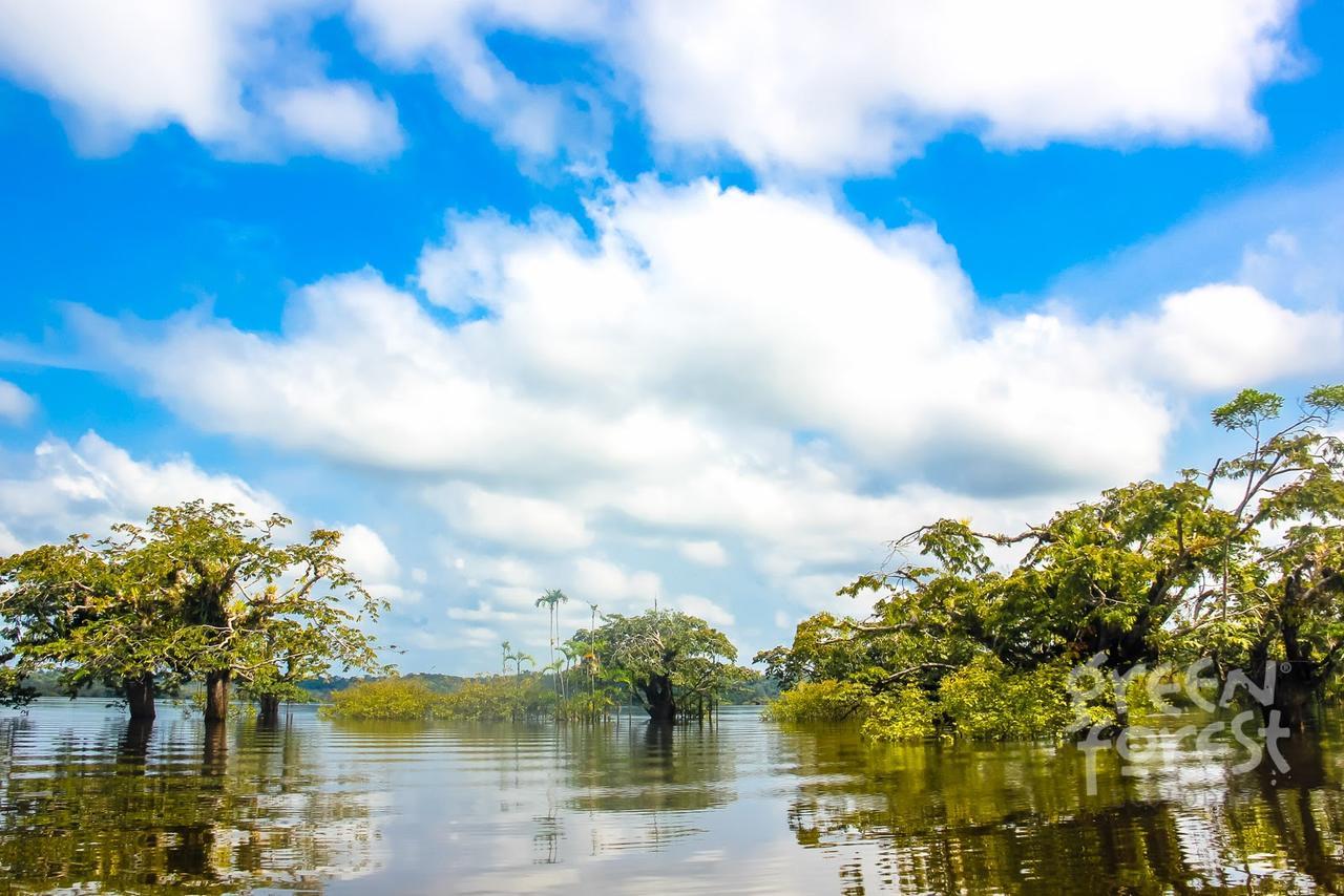Green Forest Ecolodge Puerto Montufar 외부 사진