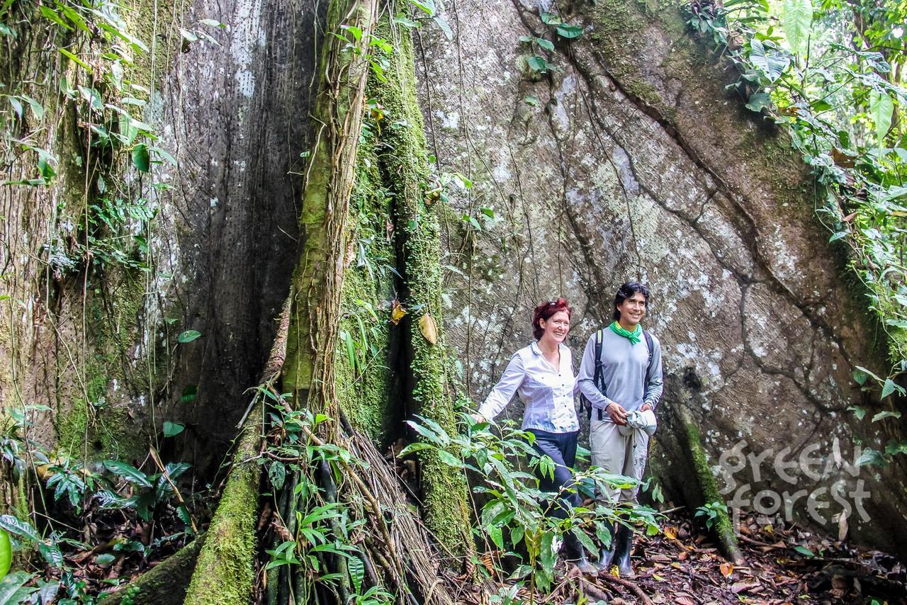 Green Forest Ecolodge Puerto Montufar 외부 사진