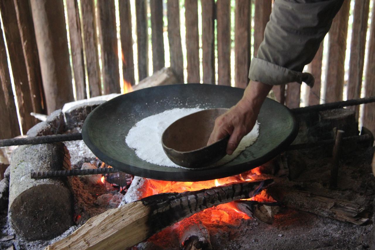 Green Forest Ecolodge Puerto Montufar 외부 사진