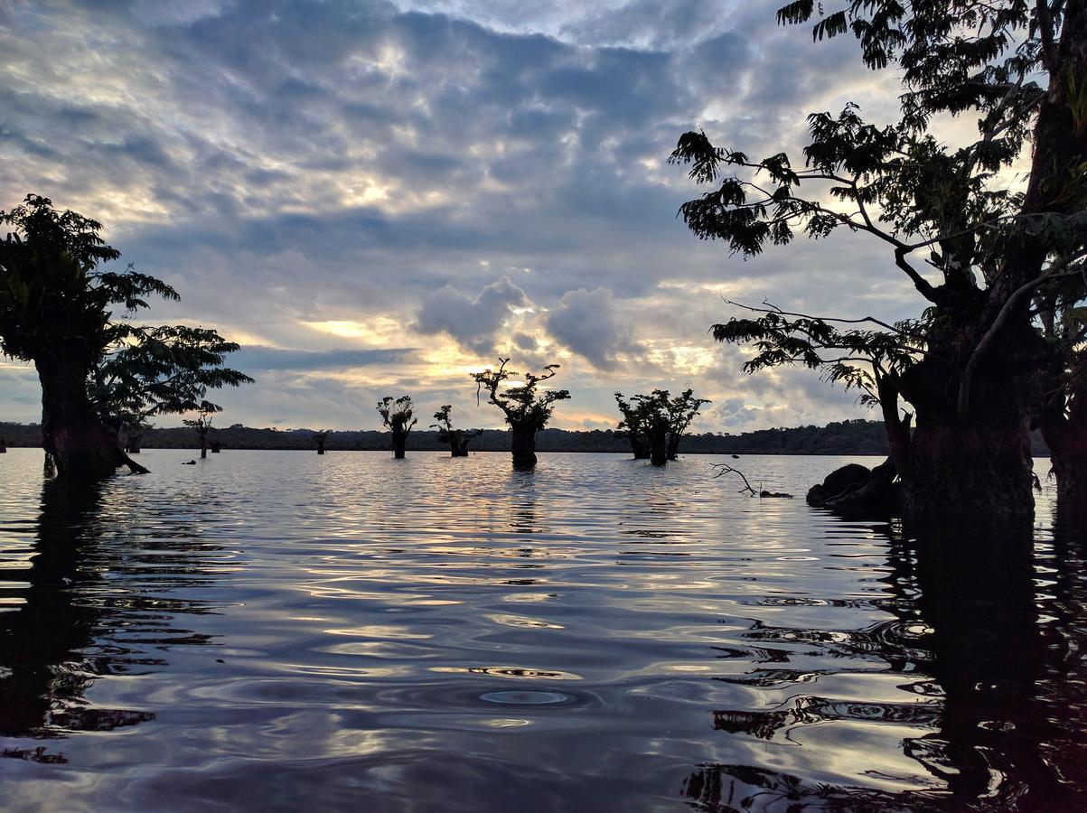 Green Forest Ecolodge Puerto Montufar 외부 사진
