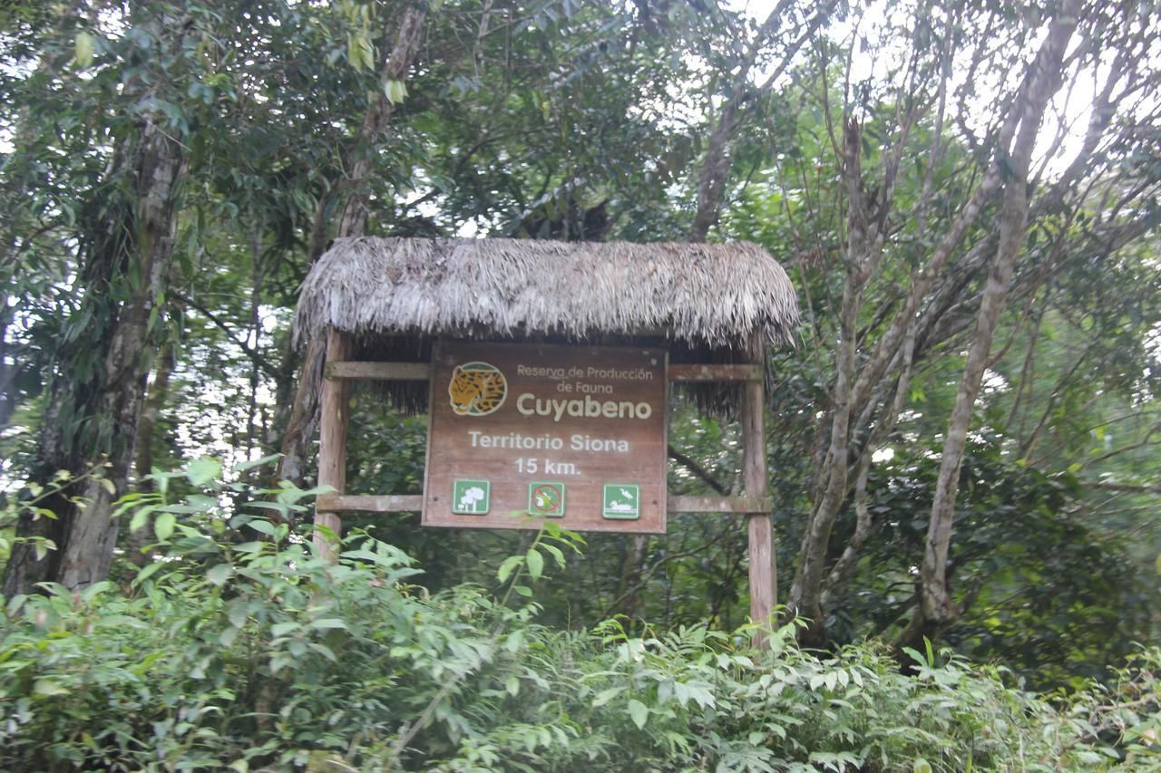 Green Forest Ecolodge Puerto Montufar 외부 사진